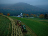 Buy Farmer Cuts Corn to Feed Cows on His Dairy Farm at AllPosters.com