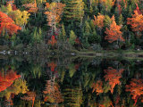 Autumn Foliage Reflected in a Canadian Lake Photographic Print