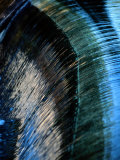 Buy Close View of a Sheet of Water Pouring over a Dam at AllPosters.com