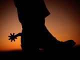 A Silhouette of a Boot and Spur