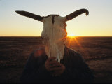 A Simpson Desert Local Hides His Face Behind a Cattle Skull Photographic Print