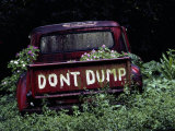 An Abandoned Vehicle Ironically Bears a Sign Warning against Dumping