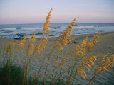 Buy Beach Scene at AllPosters.com