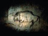 Buy View of a Bison Painted at Lascaux Approximately 17,000 Years Ago at AllPosters.com