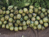 Artichokes and Greens Arranged on Burlap