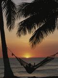 Buy Sunset on Beach with Silhouetted Hammock and Palms, Costa Rica at AllPosters.com