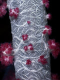 Close View of an Intricate Tree Coral