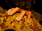 Close up of a Rock Climbers Hand