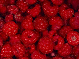 A Pile of Wild Raspberries