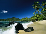 Buy Surf Surging onto a Palm Tree-Lined Beach at AllPosters.com