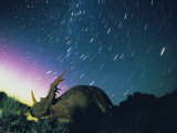 Buy Northern Lights and Meteor Trails over a Replica of a Styracosaurus at AllPosters.com