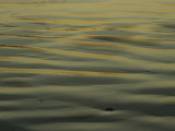 Buy Sunlight Reflects off of Sand Ripples on a Tidal Flat in Tasmania at AllPosters.com
