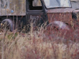 Buy An Abandoned Old Truck Sits in a Field of Autumn Colored Grasses at AllPosters.com