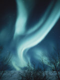 Buy The Aurora Borealis at AllPosters.com