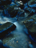Buy A Small Creek Rushs over a Rocky Streambed at AllPosters.com
