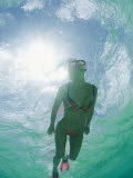 A Woman Swims Toward the Camera with the Sun Reflecting in the Water Behind Her