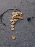 Buy Gold Coins Stamped with a Cross are Scattered on a Beach at AllPosters.com