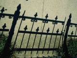 The Shadow of a Wrought-Iron Fence Throws a Pattern Across the Sidewalk