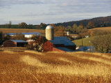 Picturesque Farm Photographed in the Fall