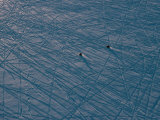 Buy Aerial of Snowmobiles on a Frozen River Patterned with Tracks at AllPosters.com