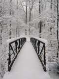 A View of a Snow-Covered Bridge in the Woods