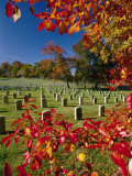 Autumnal View of Arlington National Cemetery