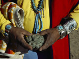 Buy Close View of Peyote Cacti (Lophophorus Williamsii) Being Held by a Native American Medicine Man at AllPosters.com