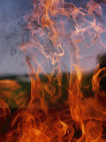 Buy Close View of Fire at AllPosters.com