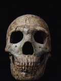 This Neandertal Skull from Wadi Amud is About 60,000 Years Old