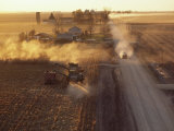 Elevated View at Twilight of a Corn Harvest