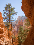 Buy A View of the Hoodoos and Erosion in Bryce Canyon at AllPosters.com