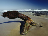 Buy A 19th Century Shipwreck Anchor Stranded on a Beach at AllPosters.com