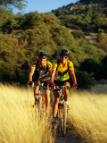 Buy A Couple of Mountain Bikers Ride Along the Dirt Path at AllPosters.com