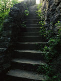 Buy Stone Stairs Lead to the Top of Morgans Steep in Sewanee at AllPosters.com