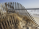 Buy A Sand Fence Used to Control Dune Erosion at AllPosters.com