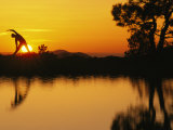 Buy Woman Stretching during Yoga with Setting Sun at AllPosters.com