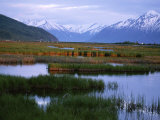 Potter Marsh under the Chugach Mountains