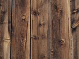 Wood-Paneled Wall