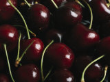 Buy Fresh Sweet Cherries with Stems at AllPosters.com