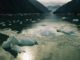 Buy Small Pieces of Ice Floating in Glacier Bay at AllPosters.com