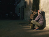 Curious Donkey Inspects a Woman