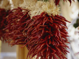 Buy Bunches of Colorful Chili Peppers Hanging in a Market at AllPosters.com