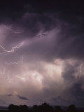 Lightning Flashes over a Stand of Trees
