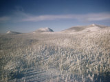 Buy Snowy Siberian Landscape at AllPosters.com