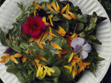 Buy An Edible Salad at the Tilth Harvest Festival in Seattle at AllPosters.com