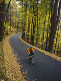 A Cyclist Riding Along a Rural Road in the Fall