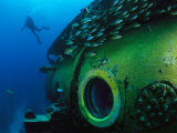 Buy School of Fish and a Diver Swim Around the Research Vessel Aquarius at AllPosters.com
