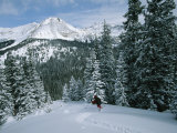 Buy Backcountry Skiing into an Evergreen Forest at AllPosters.com