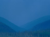 A View of the Misty Blue Hills in Yellowstone from Mount Washburn, Looking South