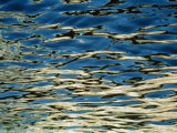 Sunlight Reflecting on the Rippling Water